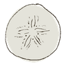 PALIMPSEST